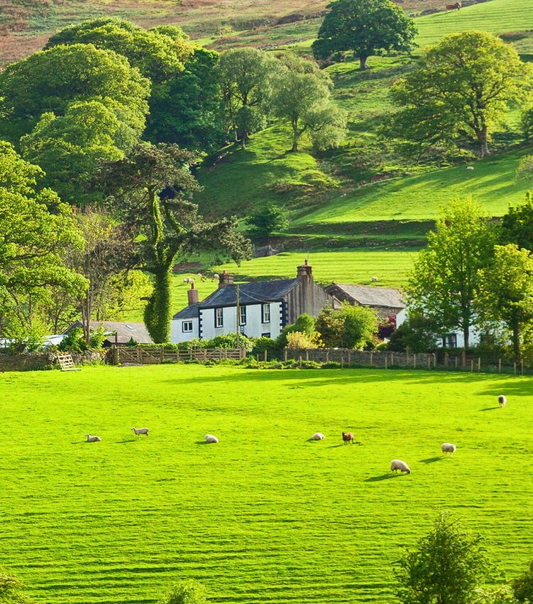 Property in the Lake District