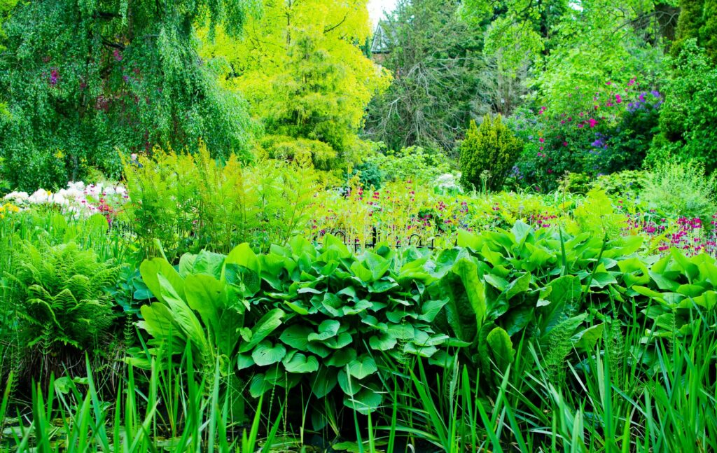 Didsbury, Fletcher Moss Botanical Gardens