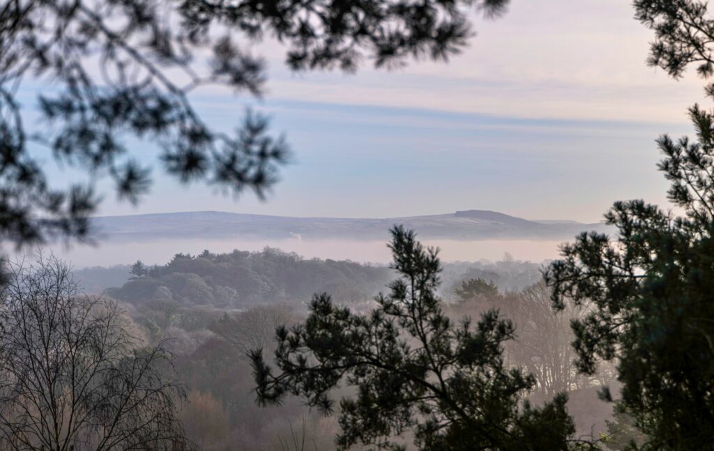 View looking out from Alderley Edge, Cheshire